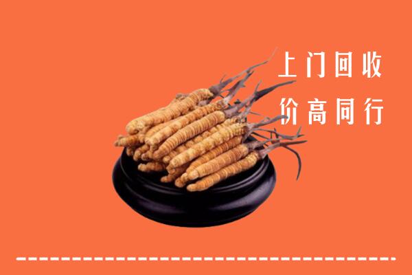 高价求购：阿克苏回收散虫草