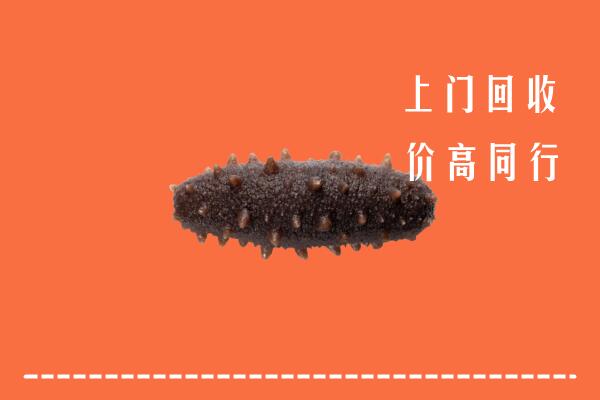 阿克苏高价回收海参
